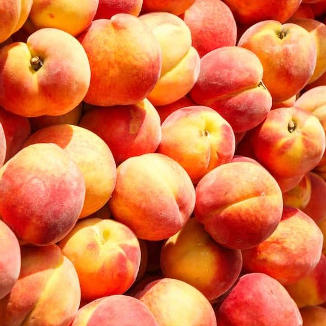Fresh & Local Market & Kitchens