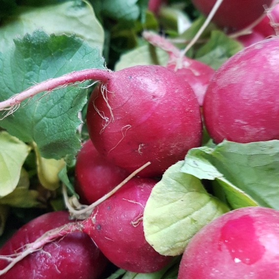 Fresh & Local Market & Kitchens