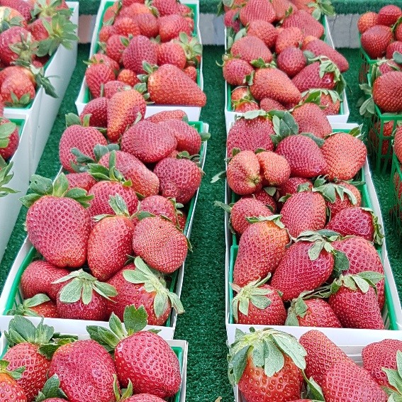 Fresh & Local Market & Kitchens