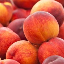 Fresh & Local Market & Kitchens