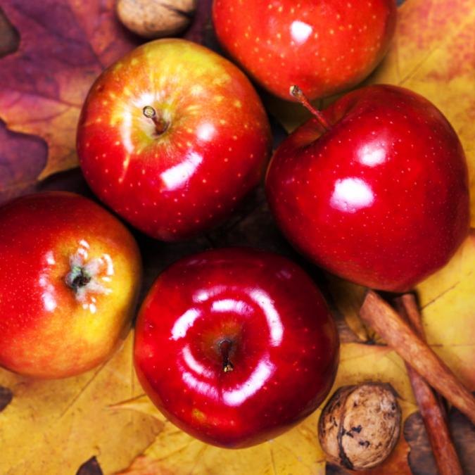 Fresh & Local Market & Kitchens